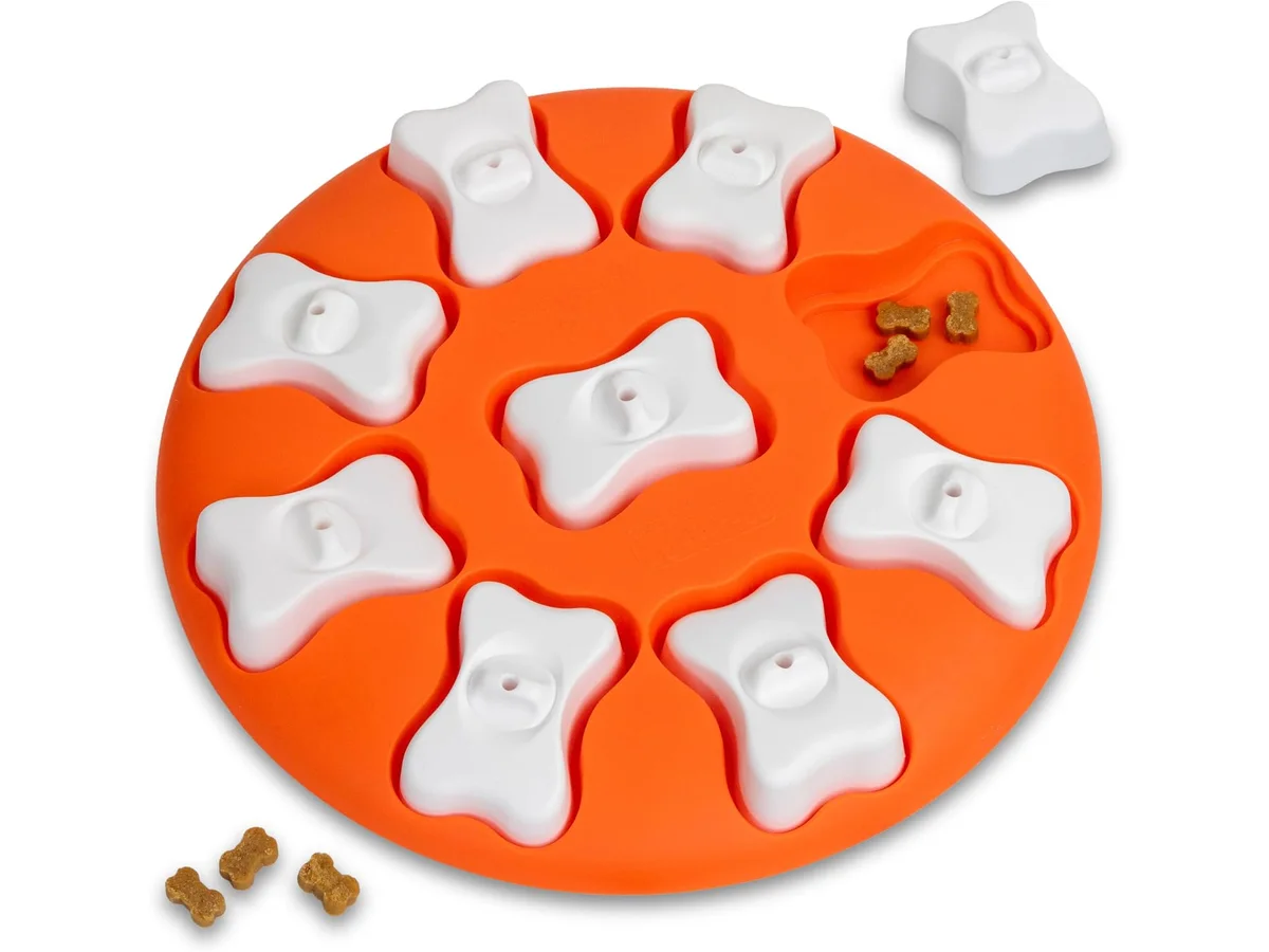 Outward Hound Dog Smart Treat Puzzle